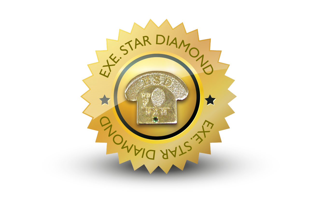 Executive Star Diamond
